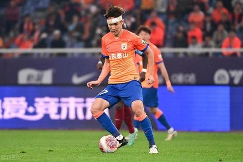 辽宁爆料假球视频大全集,揭秘假球视频大全集，真相令人震惊